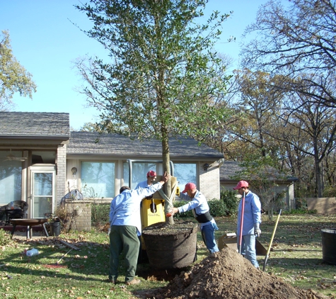 McKee Tree Service - Mabank, TX