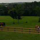 Lantern Hill Equine Retirement