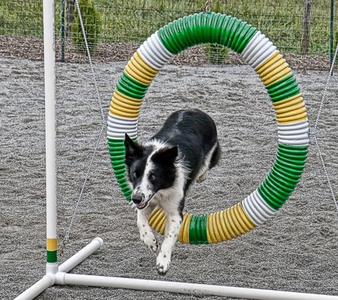 Spring Valley Farm Dog Care - Pisgah Forest, NC