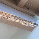 Arizona Termite Specialists - Flooring Contractors