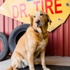 Dr. Tire Inc. gallery