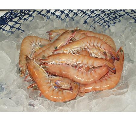 Urangan Fisheries - Urangan, QLD