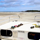 Tideline Tours