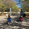 Bicentennial Capitol Mall State Park gallery