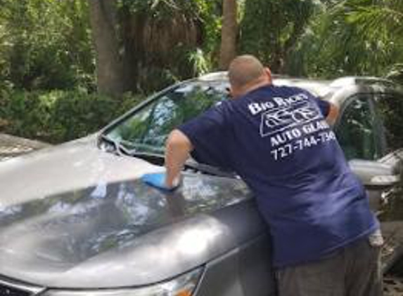 Big Rick's Auto Glass - Riverview, FL