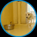 Knollwood Animal Hospital - Veterinary Clinics & Hospitals