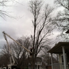 MDL Tree Service