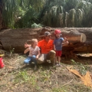 The Wood Doctor Tree Service - Tree Service