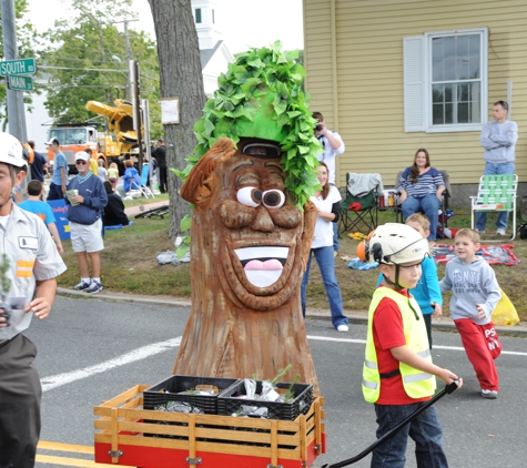 Mountain Tree Service - Somers, CT