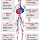 Kyäni Triangle of Health