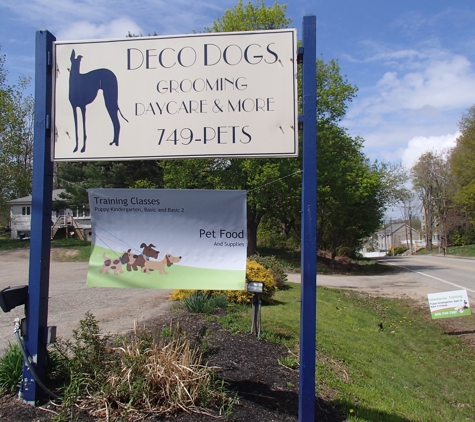 Deco Dogs Daycare - Dover, NH