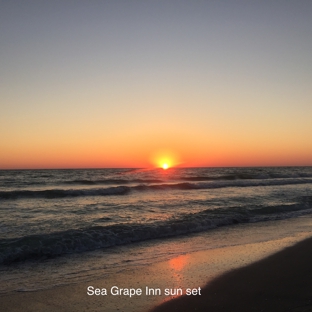 The Sea Grape Inn - Longboat Key, FL. Sea Grape sunset