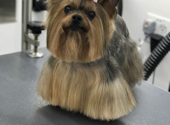 Trendy Wendy Pets Mobile Grooming - Skillman, NJ. TrendyWendyPets