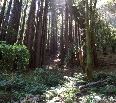 Land of Medicine Buddha - Soquel, CA