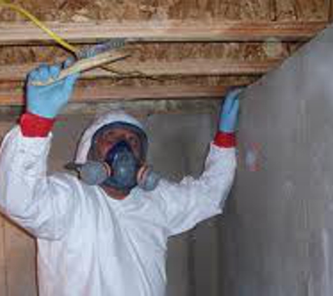 Big Apple Mold Removal - Lawrence, NY