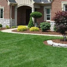5-Cuts Professional Lawn & Landscaping