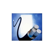 Gallery Image Number 2