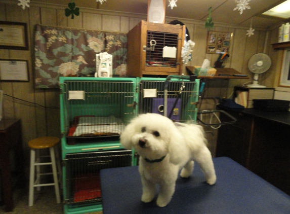 Grapevine Grooming Shop - York, PA