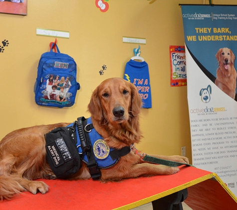 Dog Groomer Academy - Orlando, FL