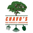 Chavos Tree Service & Landscaping - Tree Service