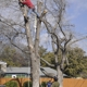 Anderton Tree Services