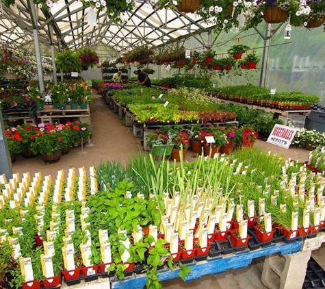 Hewitt's Garden Center - Schenectady, NY