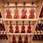 Terra Nova Violins