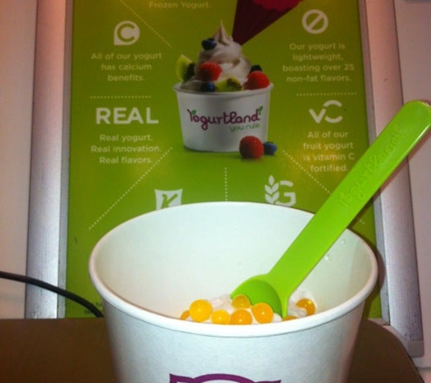 YogurtLand - Los Angeles, CA