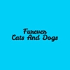 Furever Cats And Dogs gallery