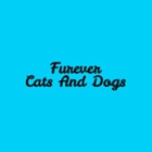 Furever Cats And Dogs