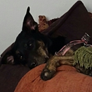 Four Rivers Veterinary Clinic - Veterinarians