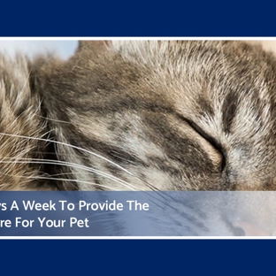 Wynnum Manly Vet Hospital - Wynnum, QLD. Open Seven Days A Week To Provide The Best Possible Care For Your Pet