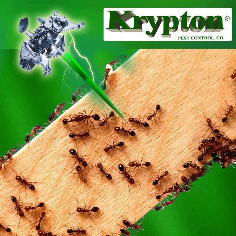 Krypton Pest Control