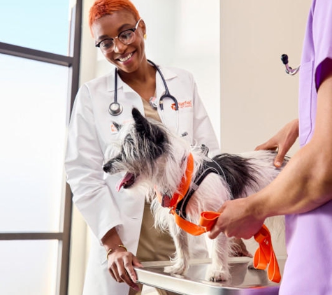 Banfield Pet Hospital - Seattle, WA