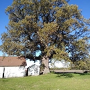 Cassity Tree Service and Care - Arborists