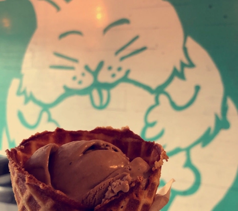 Fat Cat Creamery - Houston, TX