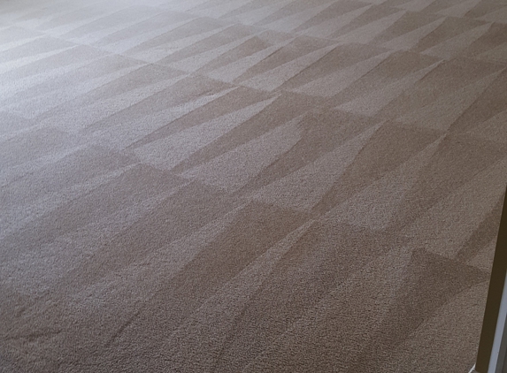 : Steam Point Carpet & Upholstery Cleaning - Winston Salem, NC