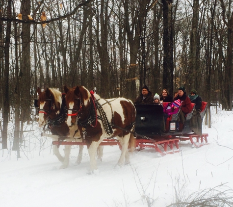 Bulitz Carriage Rides Ltd - Kohler, WI. SleighRides