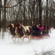 Bulitz Carriage Rides Ltd