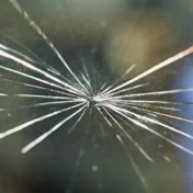 Gallery Image Number 1