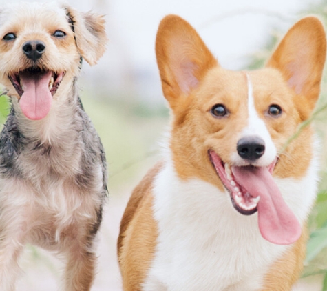 Dardanup Veterinary Centre - Dardanup, WA