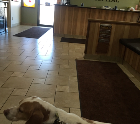 Carson Valley Veterinary Hospital - Minden, NV. Jax loving his visit.