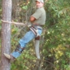 Wayne's Tree Service gallery