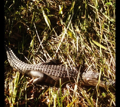 Louisiana Tour Company - Marrero, LA