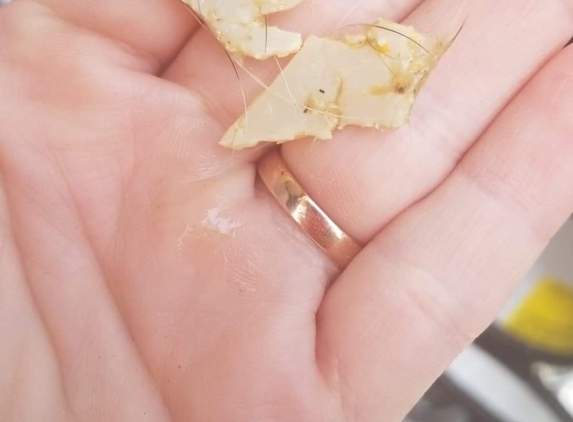 Pampered Pets - Orange Park, FL. Chewed up Crate Pieces Thrown Up by Puppy