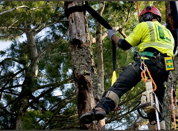 Arbor Tree Care - Pittsburgh, PA