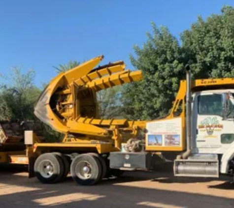 Tree Relocators - Scottsdale, AZ