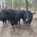Rocking L Feed & Farm Store - Feed-Wholesale & Manufacturers