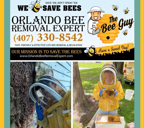 Orlando Bee Removal Expert - Oviedo, FL