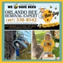 Orlando Bee Removal Expert - Oviedo, FL